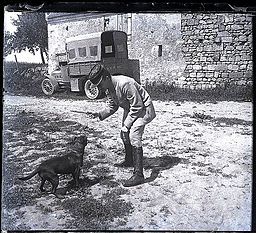 dog playihg, archaic
