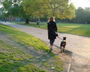 woman-walking-a-dog