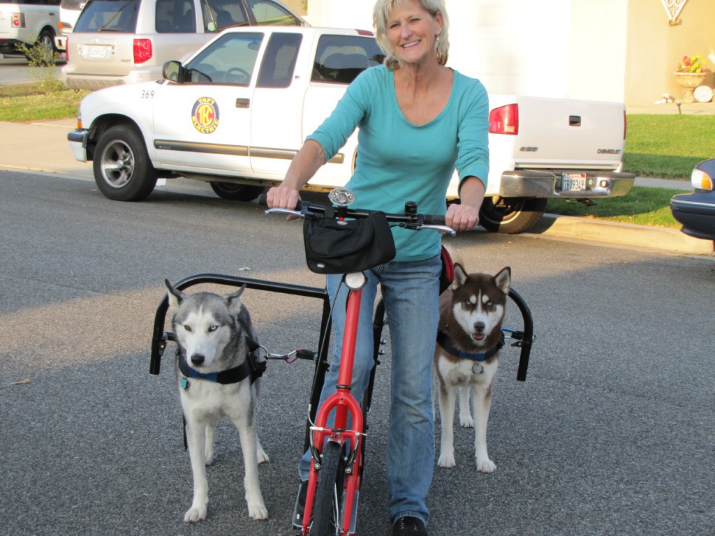 Dog behind you scooter dogpoweredscooter.com