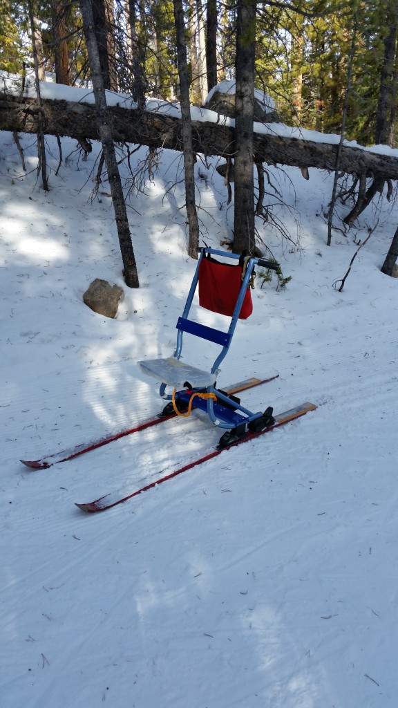 Snow Goose with cargo/rest seat down for show.